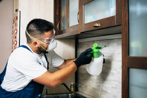 Best Bed Bug Extermination  in Berry College, GA