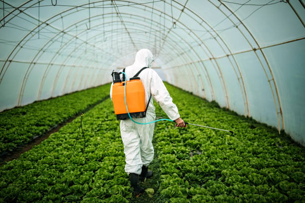 Trusted Berry College, GA Pest Control Experts
