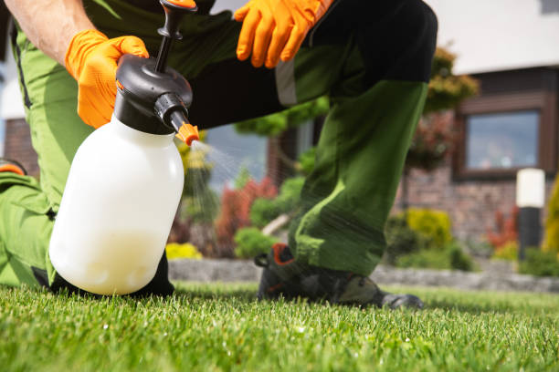 Best Pest Inspection Near Me  in Berry College, GA