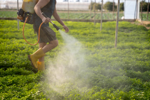 Best Pest Removal Services  in Berry College, GA