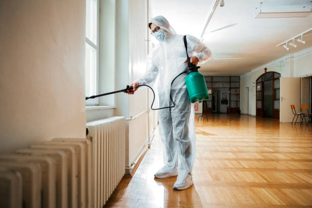 Best Wasp Removal Services  in Berry College, GA