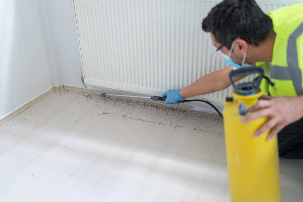 Best Termite Control Services  in Berry College, GA